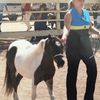 Dancinfannonsranch