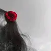 saiferwife0000