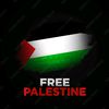 muhammadimtiyaz498