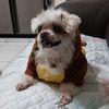 user08gj4stoca