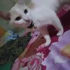 awin0415