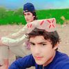sangedatafrid6