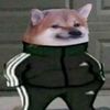 weest3000
