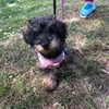princessmaddie271