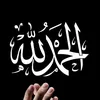 user46350655615177