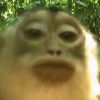 mangkokcapayam69