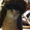 laraqxrs