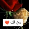 ali.ameen80
