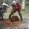 pejuangnafkah1230