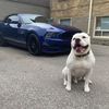 billykidd5.0