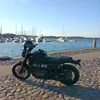 guckie1260