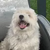 sadieeyuhhh