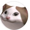 popcat.robloxx