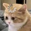 _yoonnd19