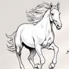 user6122581288855