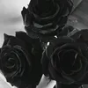 userwp5iynacvf