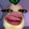 plyrkntr02