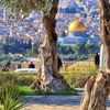 mohamed50961