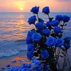 meriem0706