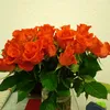 user196111361247