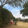 eshal_khan1305
