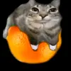 cutepotato.12