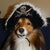 ghxstly_purge
