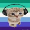 axel_taylorsversion