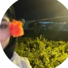 haea_