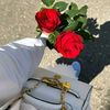 rania.mohammed643