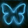 BLUELIES11