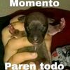 breinermahechahoyos