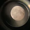 nob0ddyy1