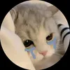 ng.duc.khiem99