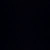 fredia_00