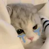 susuday52952