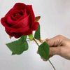hasan.531.698.27