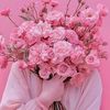 wafoo_hamed