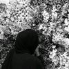 mftkl.23