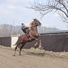 besarabskiy_paliy