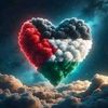 alarab942