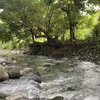 kuyaedith