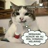 dsjddnsriew