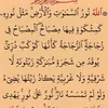 mohammedberg986
