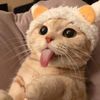 odreeeeeeeeeeee