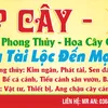 nguyenan.189