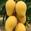 arounabakayoko509