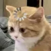 user5kig5su522