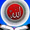 mdjahidulisla7625