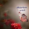 amaalahmedl5118